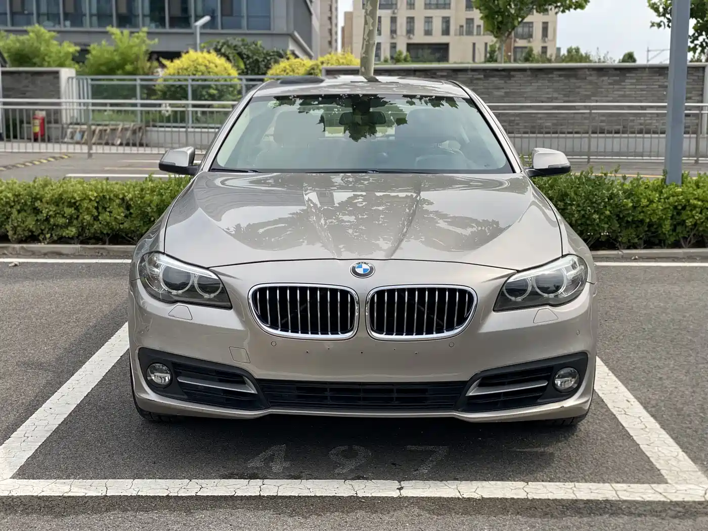BMW 5 Series 2014 520Li Elegance фото 3