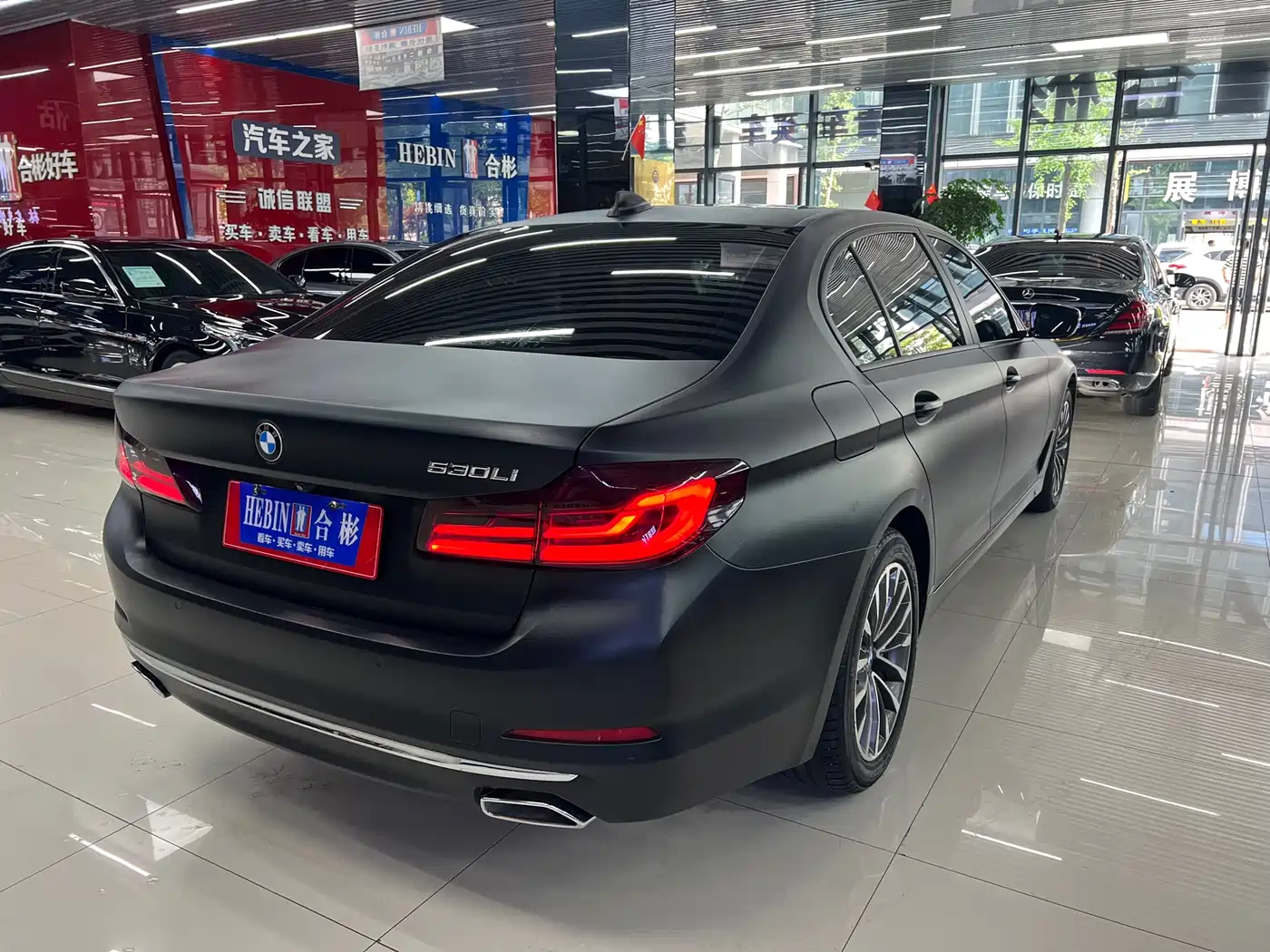 BMW 5 Series 2018 530Li Leading Luxury Package фото 6