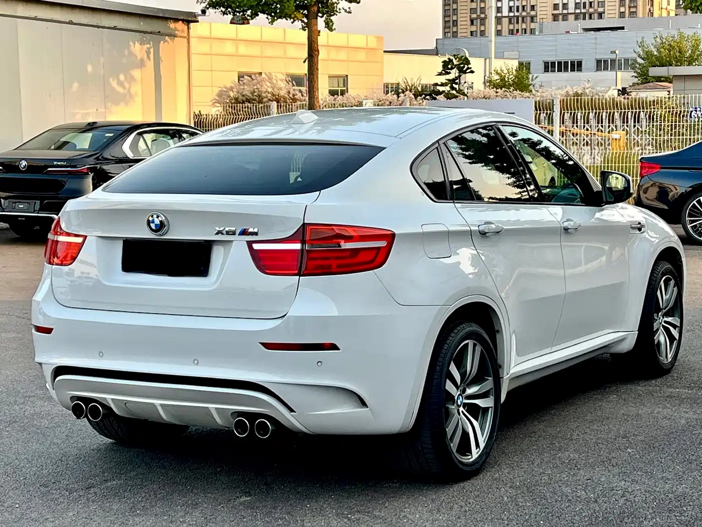 BMW X6 M 2013 X6 M фото 8