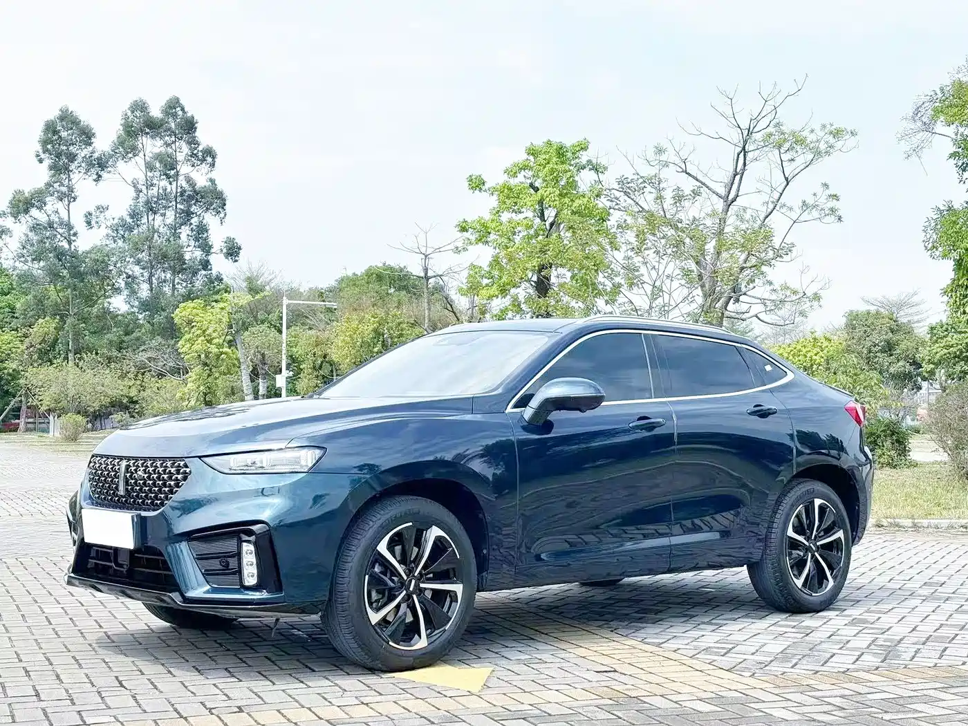 2020 WEY Wei VV7 GT