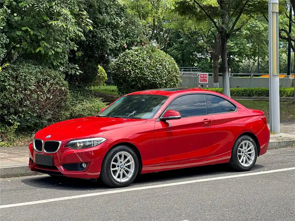 BMW 2 Series (Import) 2015 218i фото 4