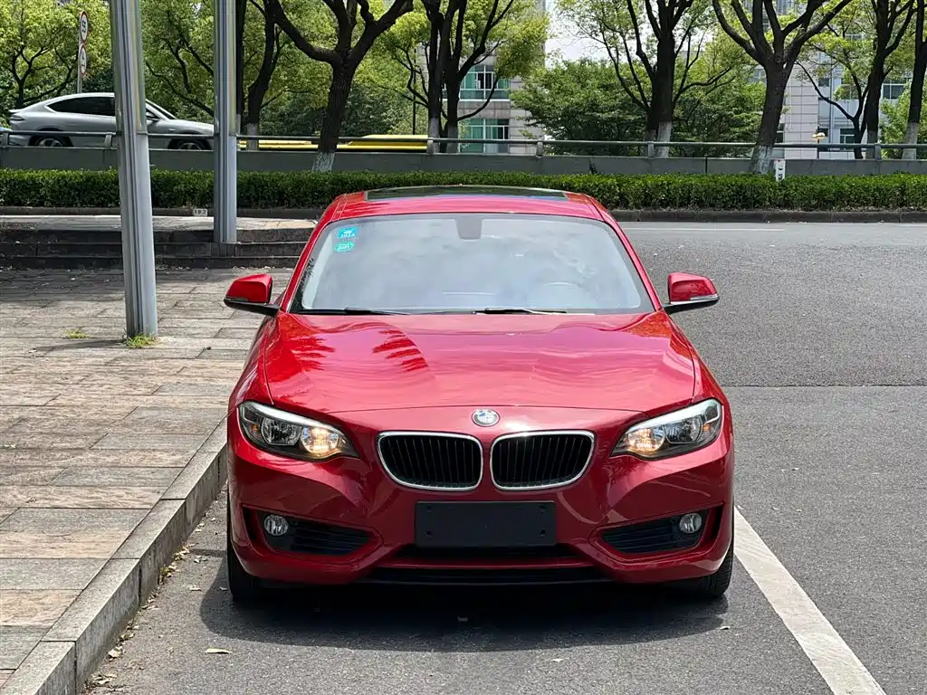 BMW 2 Series (Import) 2015 218i фото 2