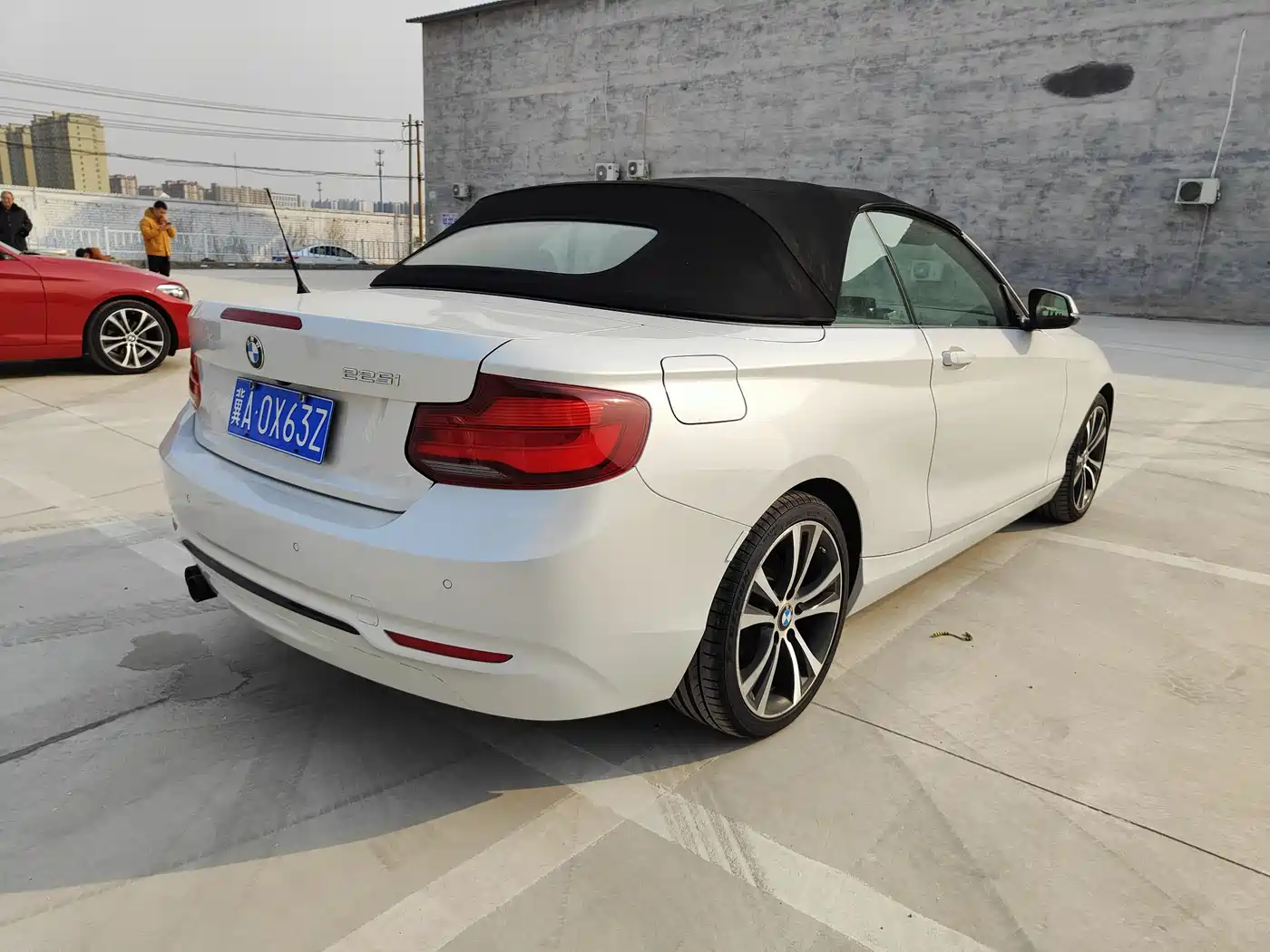 BMW 2 Series (Import) 2019 225i Convertible Coupe Sport Design Package фото 15
