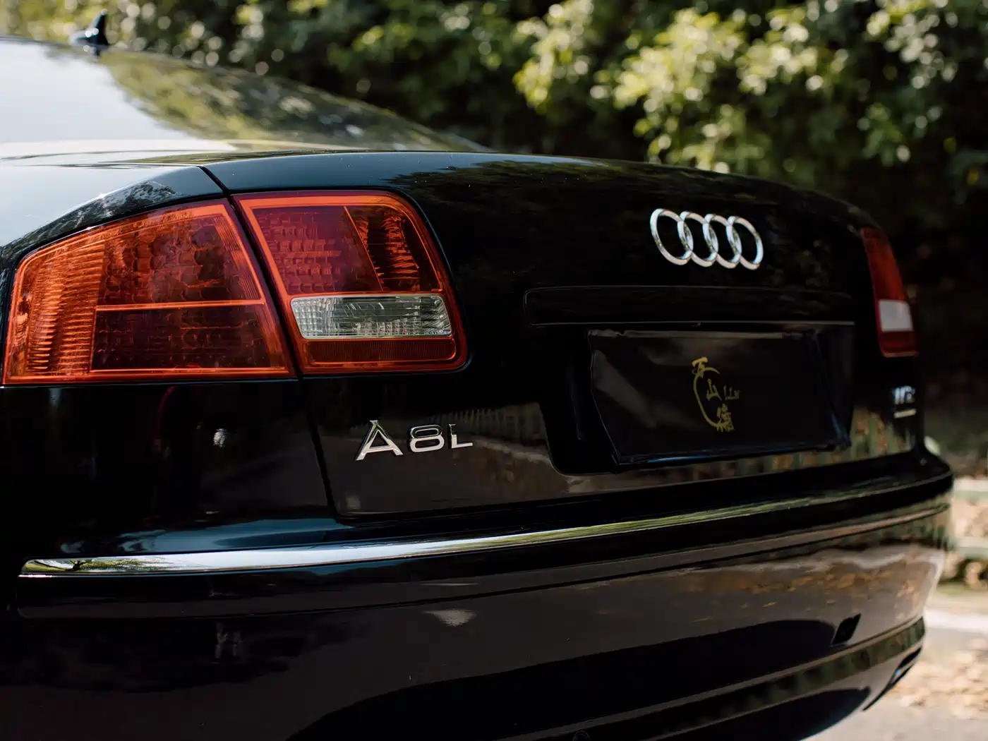 Audi A8 2006 A8L 6.0 W12 quattro Flagship фото 5