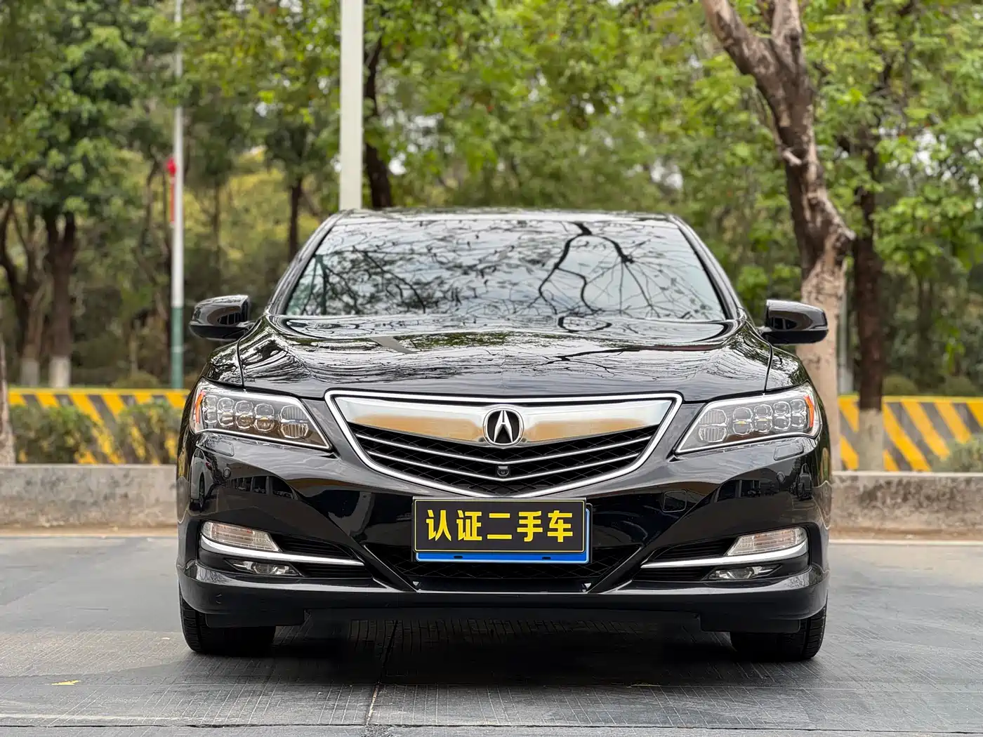 Acura RLX 2013 3.5L PAWS Edition фото 2