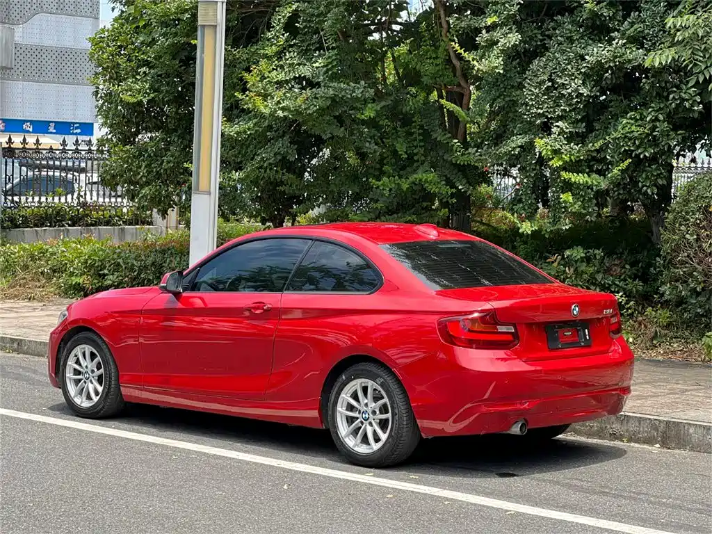 BMW 2 Series (Import) 2015 218i фото 10