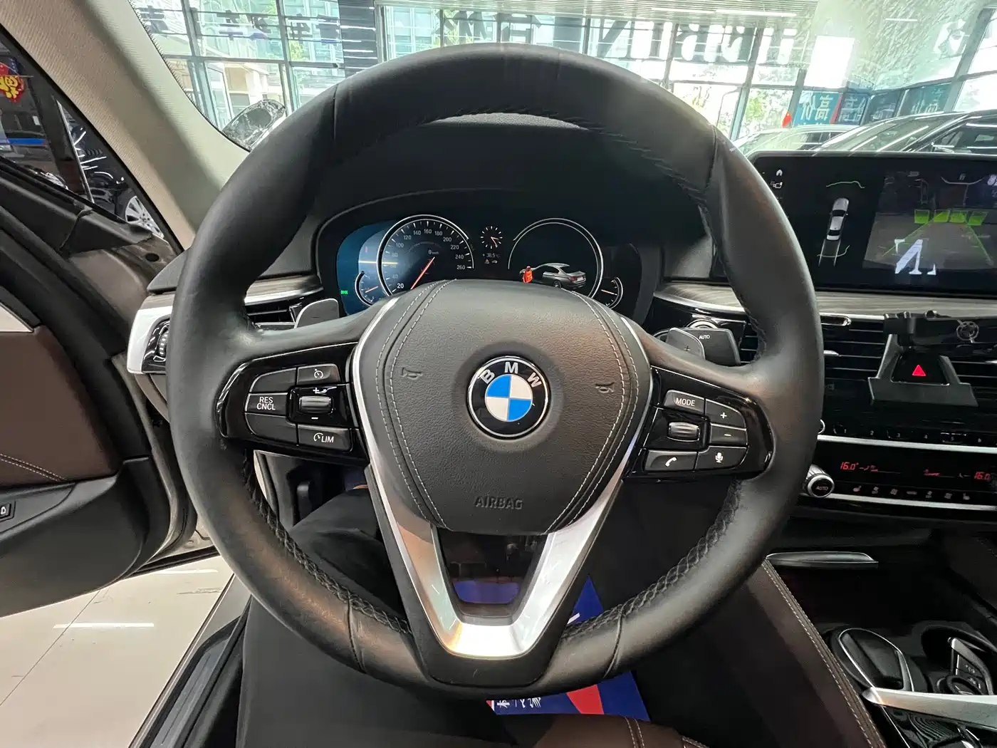 BMW 5 Series 2018 530Li Leading Luxury Package фото 13