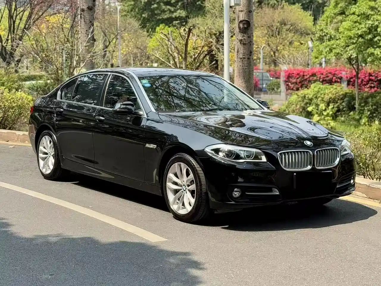 BMW 5 Series 2015 535Li Leading фото 17