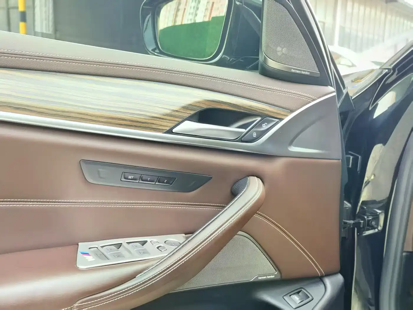 BMW 5 Series 2020 530Li Leading Luxury Package фото 12