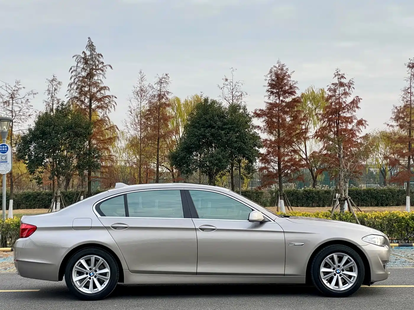BMW 5 Series 2012 523Li Luxury фото 8