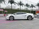 Фото 7 - Lamborghini Gallardo
