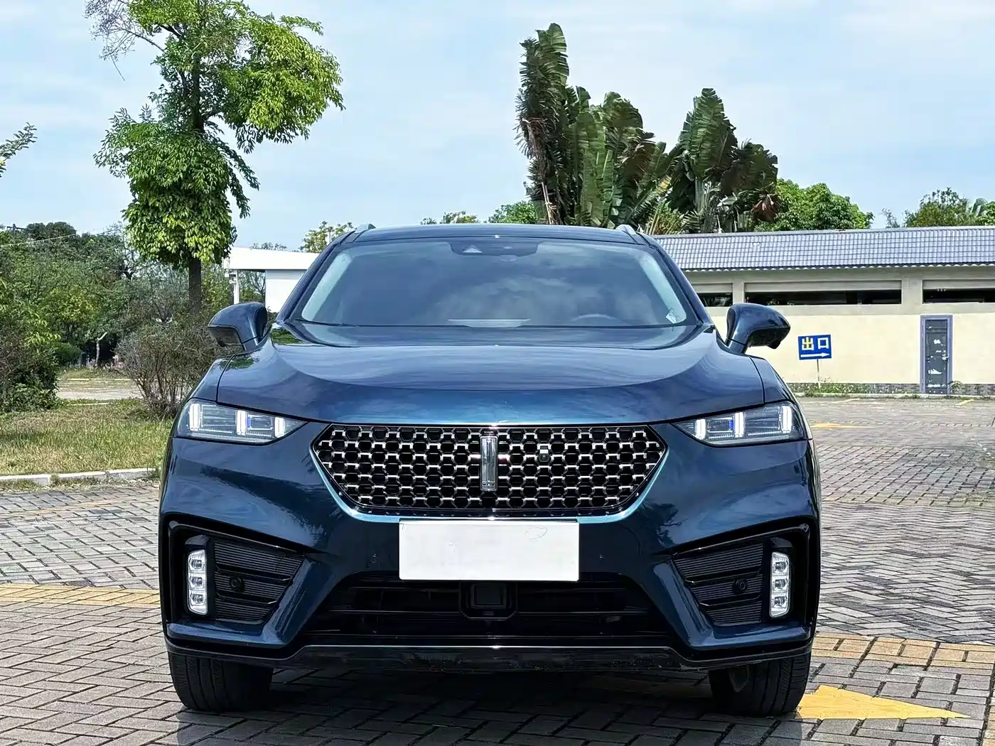 2020 WEY Wei VV7 GT