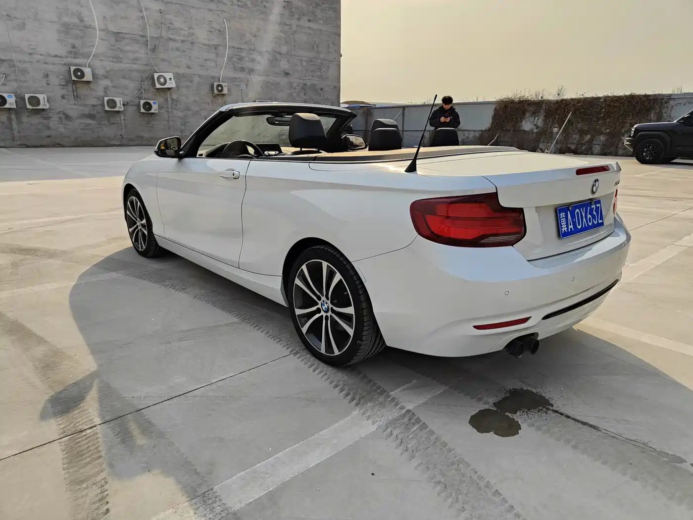 BMW 2 Series (Import) 2019 225i Convertible Coupe Sport Design Package фото 6