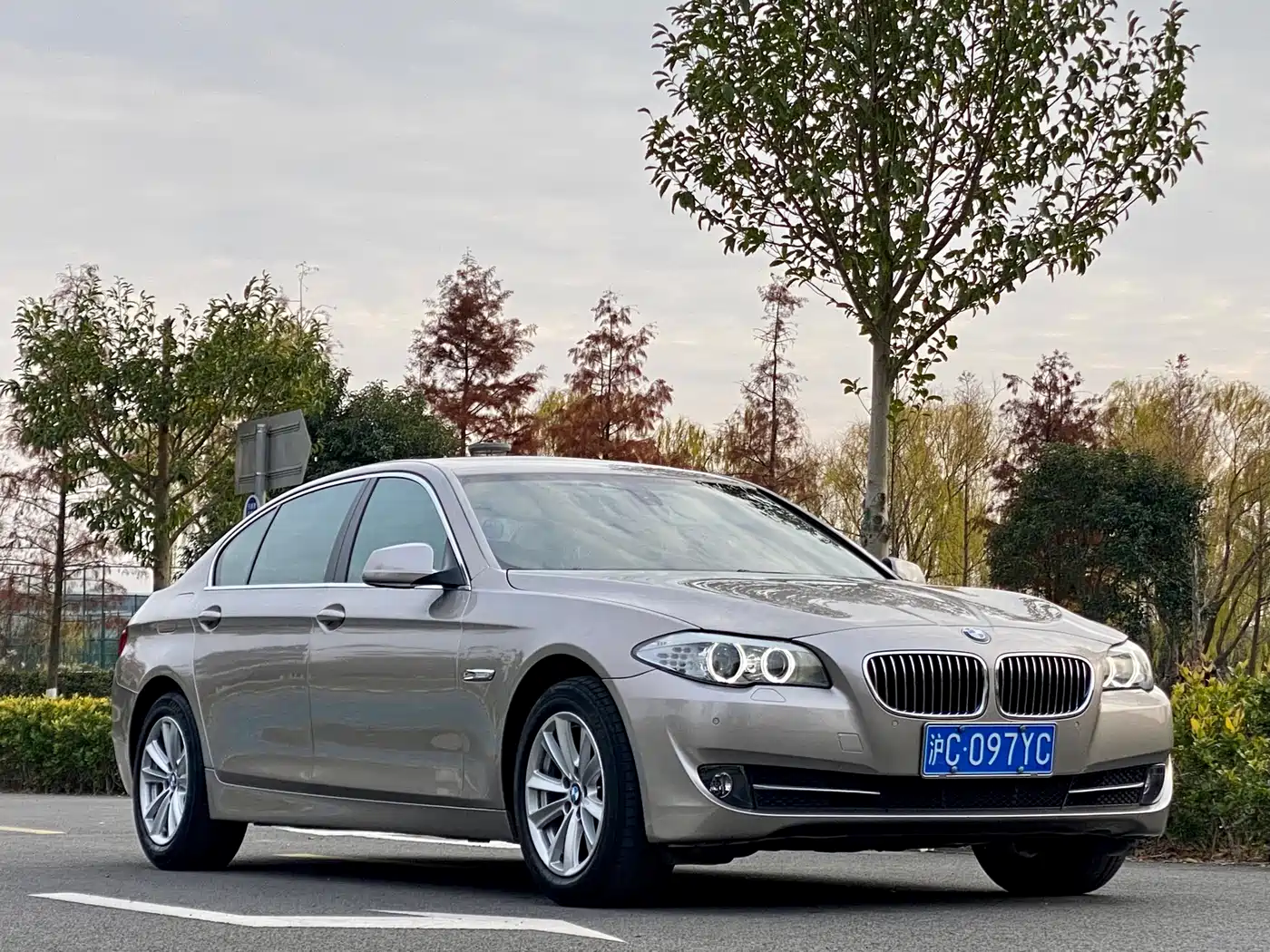 BMW 5 Series 2012 523Li Luxury фото 9