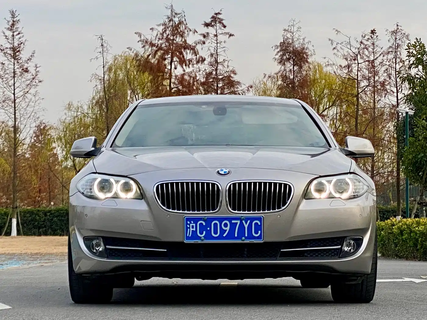 BMW 5 Series 2012 523Li Luxury фото 12