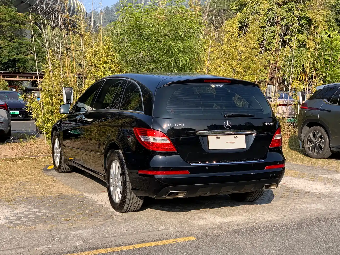 Mercedes-Benz R-Class 2014 R 320 4MATIC Business фото 5