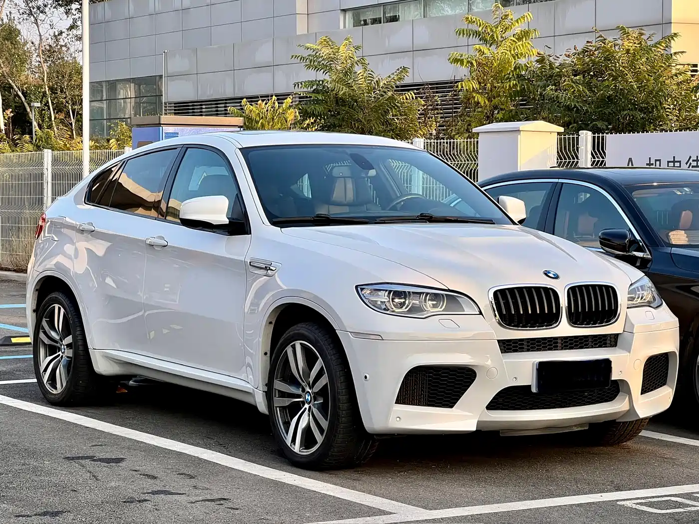 BMW X6 M 2013 X6 M фото 12