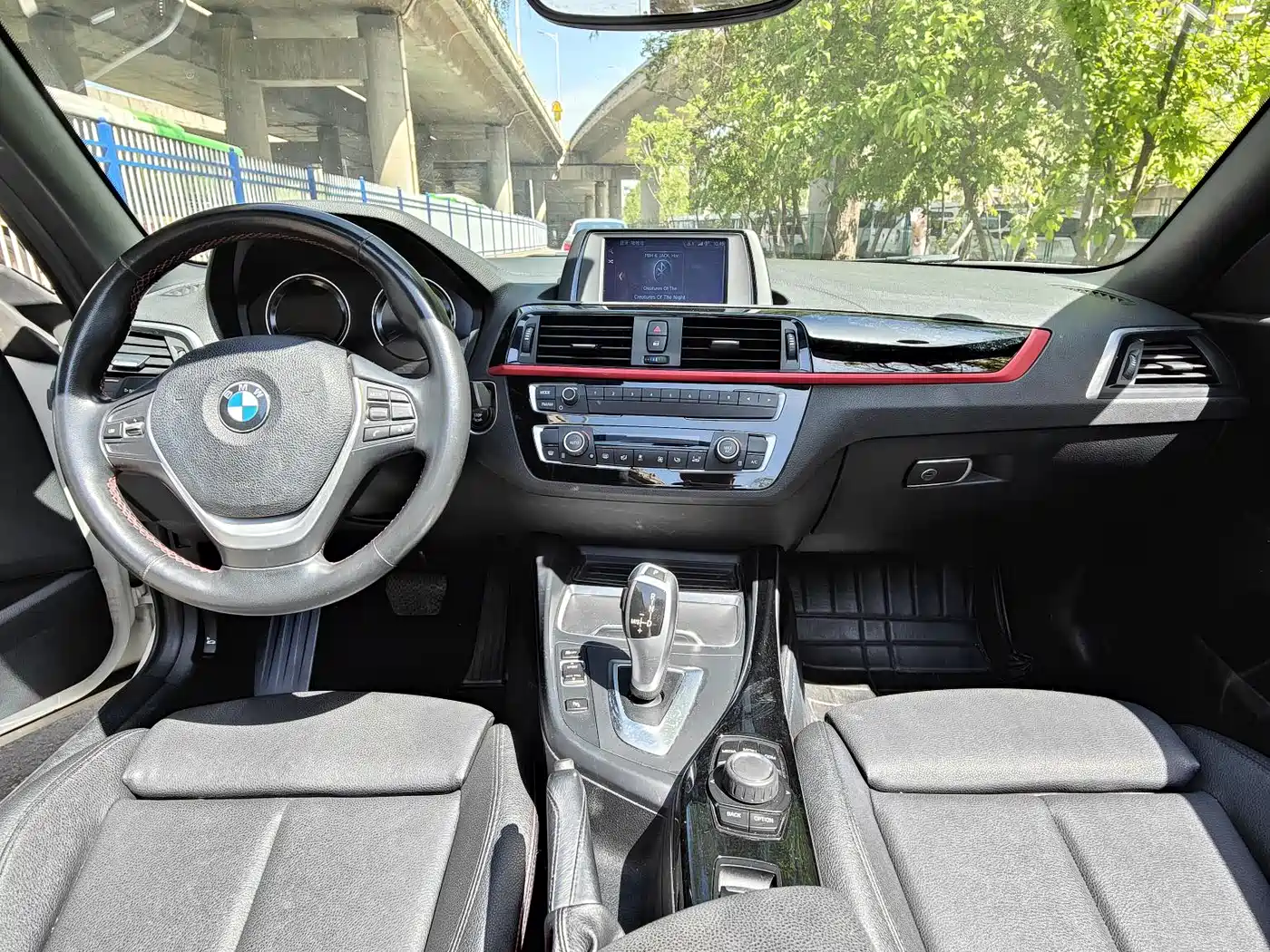 BMW 2 Series (Import) 2019 225i Convertible Coupe Sport Design Package фото 17