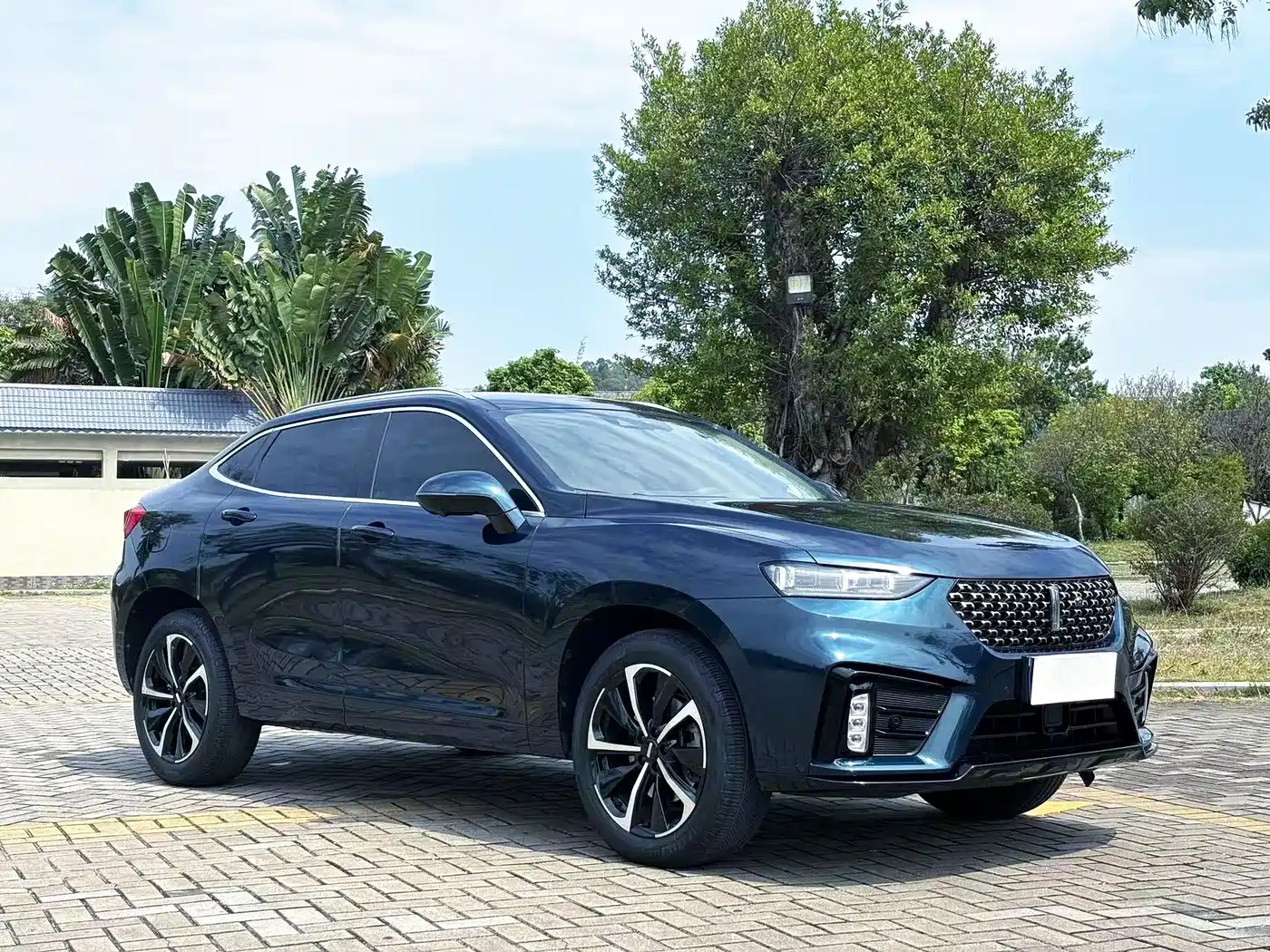 2020 WEY Wei VV7 GT