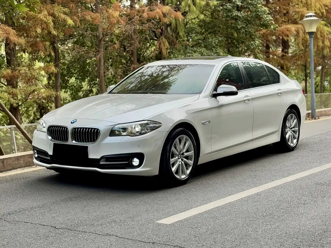 BMW 5 Series 2014 530Li Leading