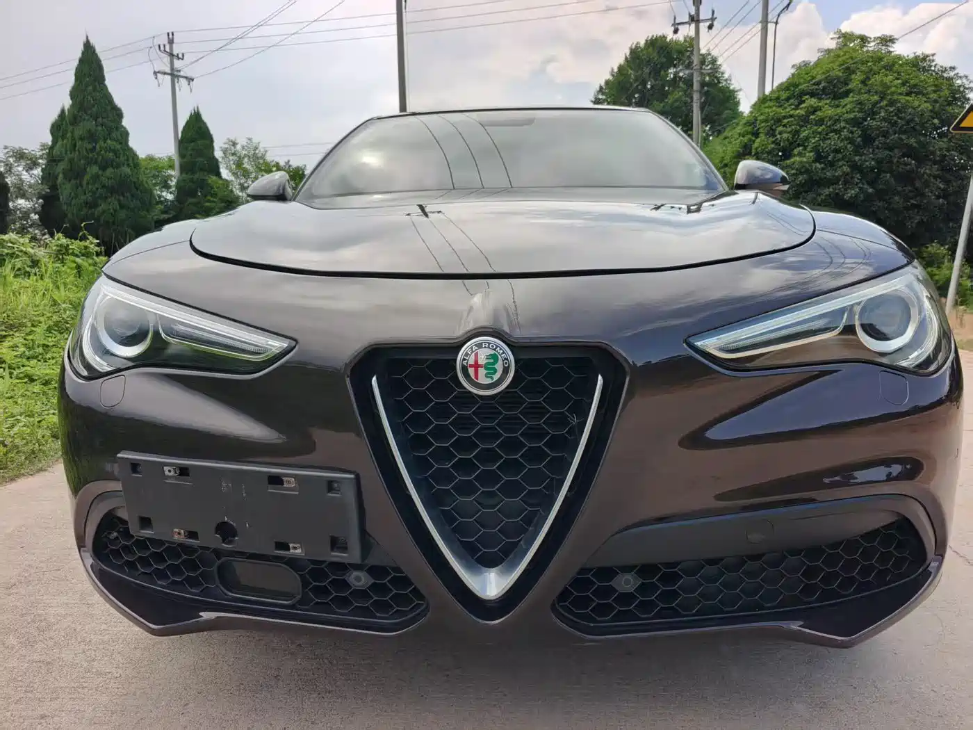 Alfa Romeo Stelvio 2019 2017 2.0T 200HP Elite