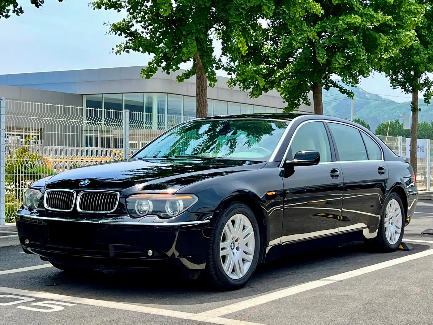 BMW 7 Series 2004 730Li фото 25