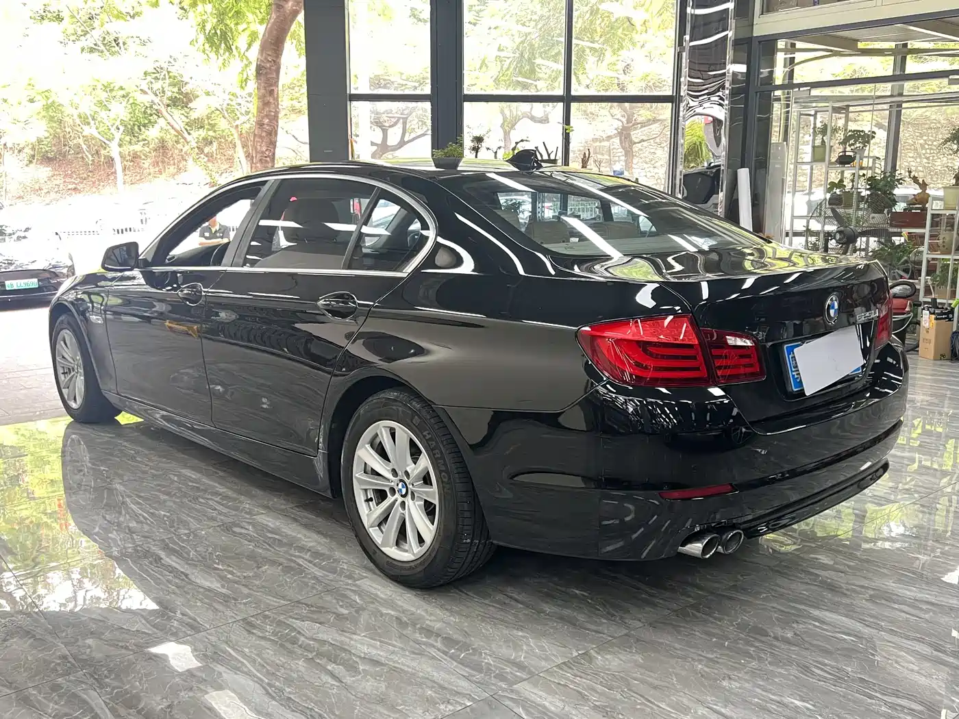 BMW 5 Series 2013 525Li Luxury фото 15