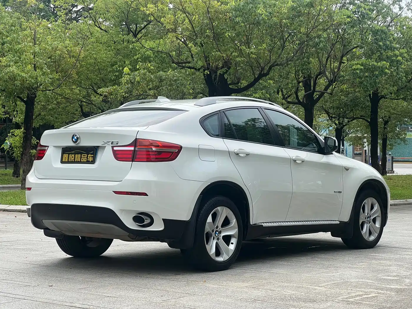 BMW X6 2013 xDrive35i фото 8