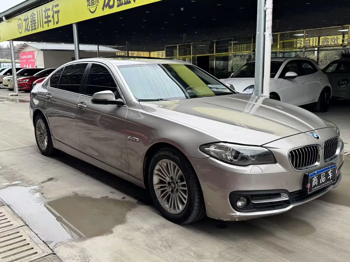 BMW 5 Series 2014 525Li Leading фото 3