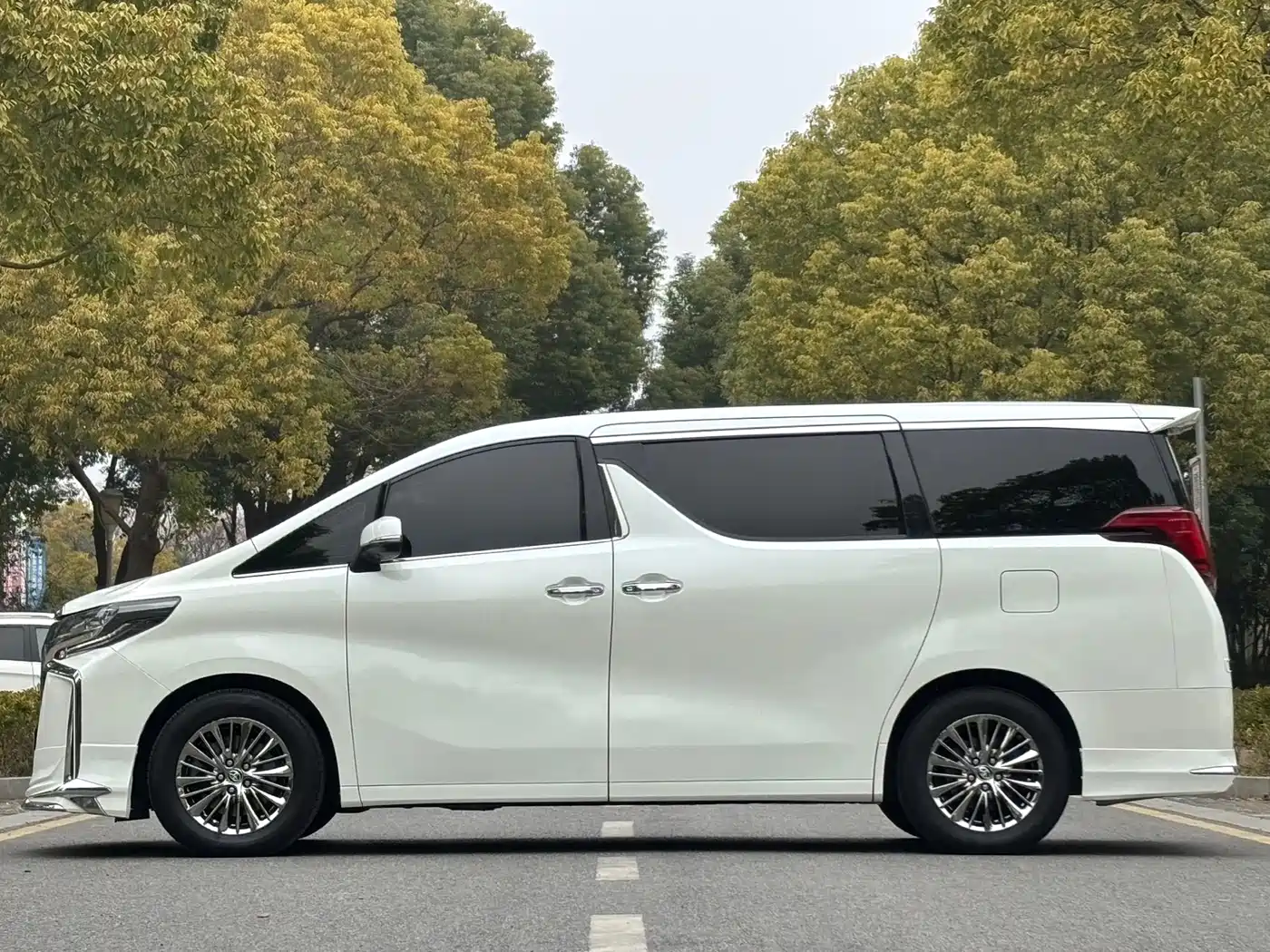 Toyota Alphard 2019 Hybrid 2.5L Luxury фото 6