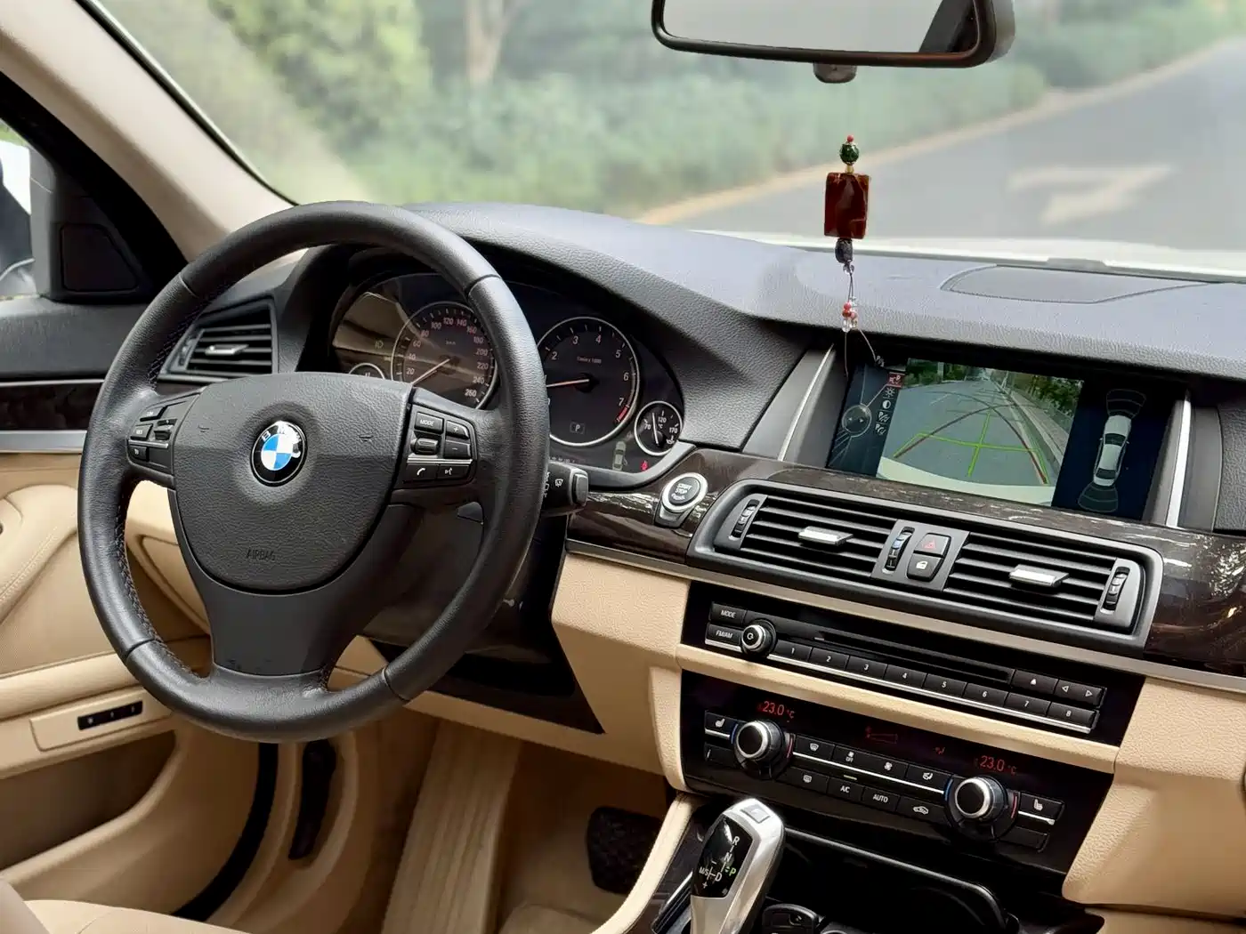 BMW 5 Series 2014 530Li Leading фото 9
