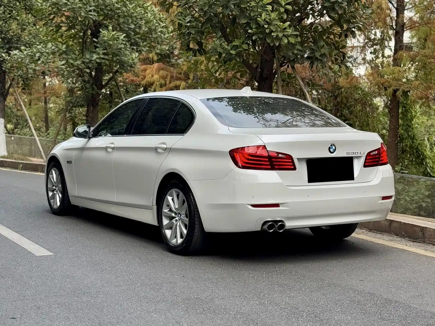 BMW 5 Series 2014 530Li Leading фото 3
