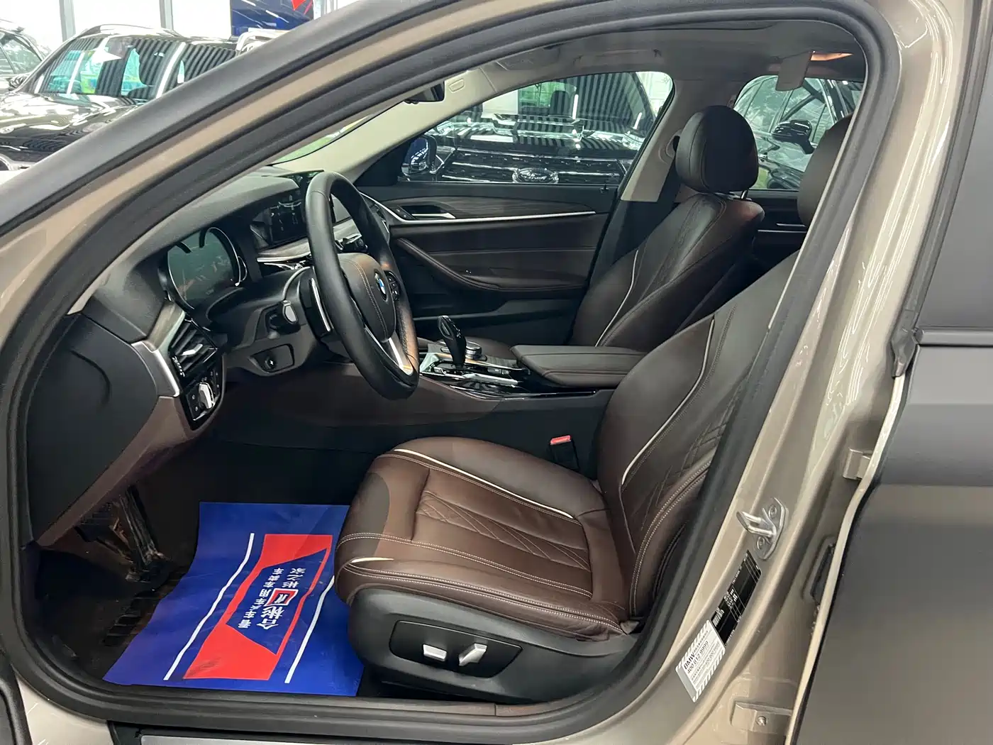 BMW 5 Series 2018 530Li Leading Luxury Package фото 11