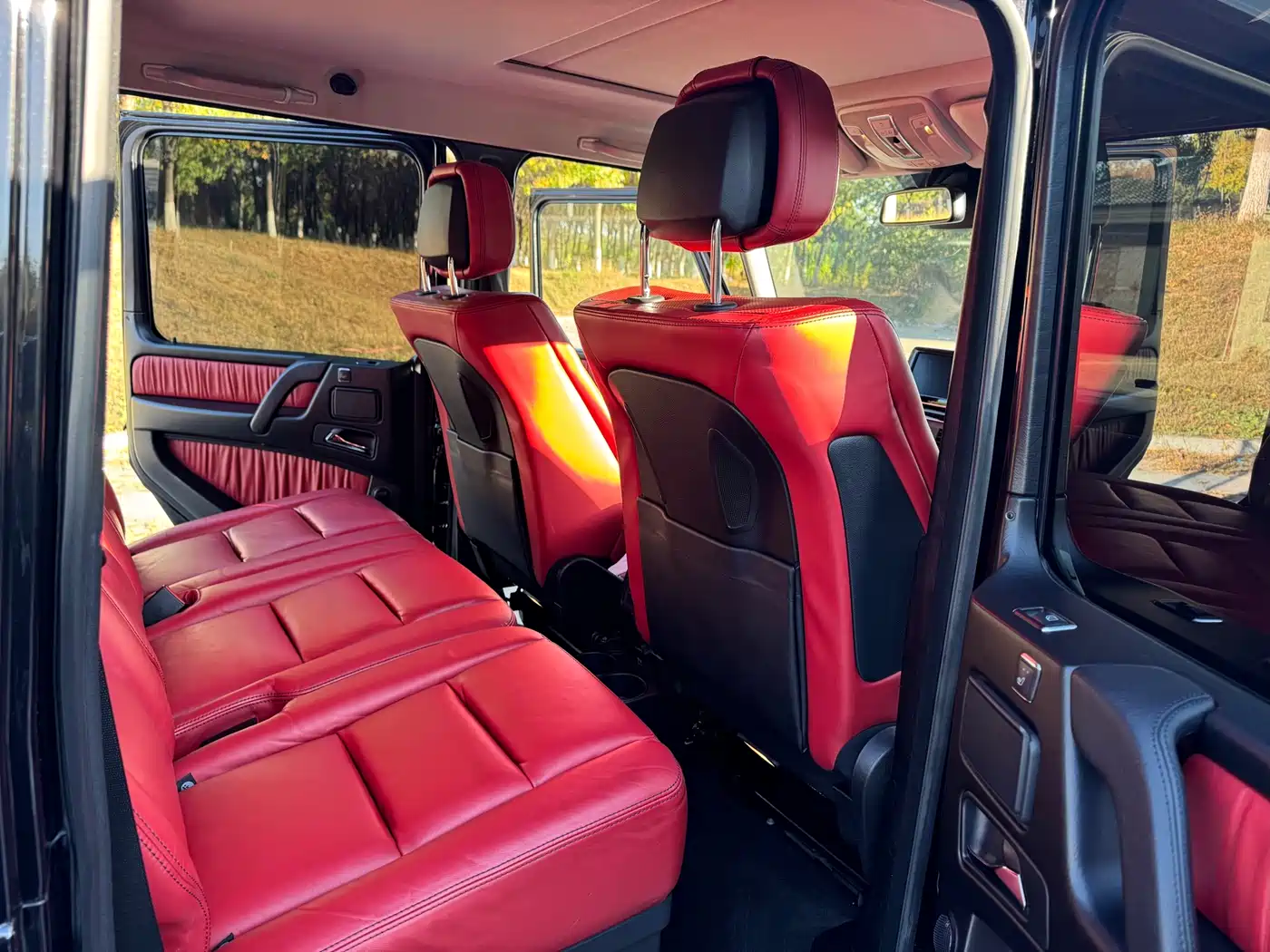 Mercedes-Benz G-Class 2016 G 500 фото 17