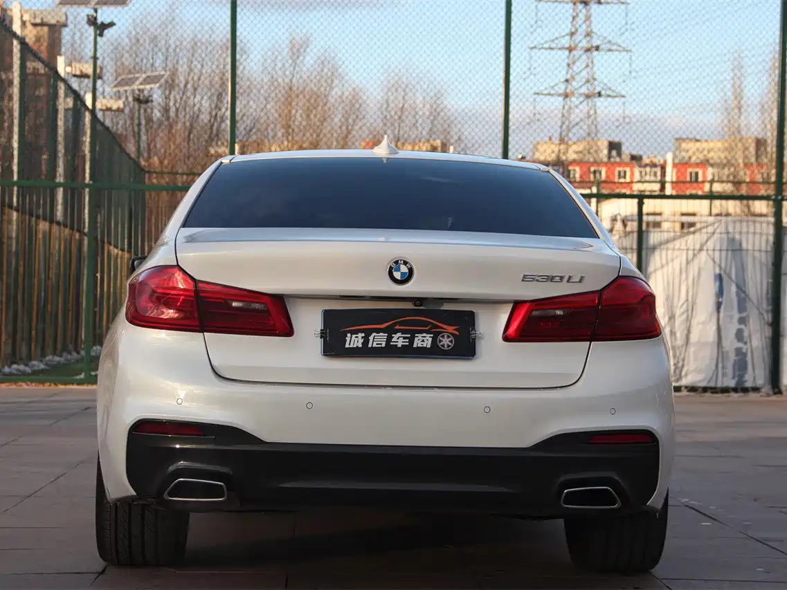 BMW 5 Series 2018 530Li Leading M Sport Package фото 8