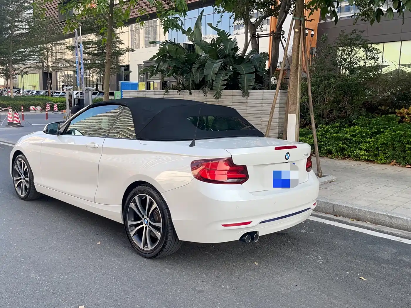 BMW 2 Series (Import) 2019 225i Convertible Coupe Sport Design Package фото 4