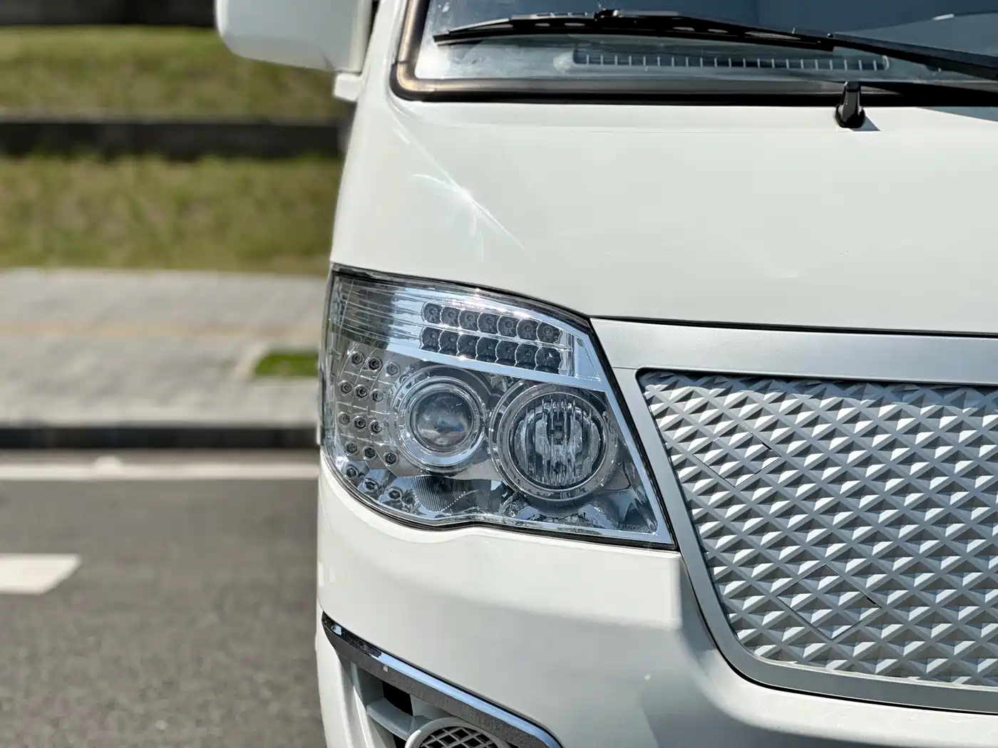 GOLDEN DRAGON SEA LION NEW ENERGY