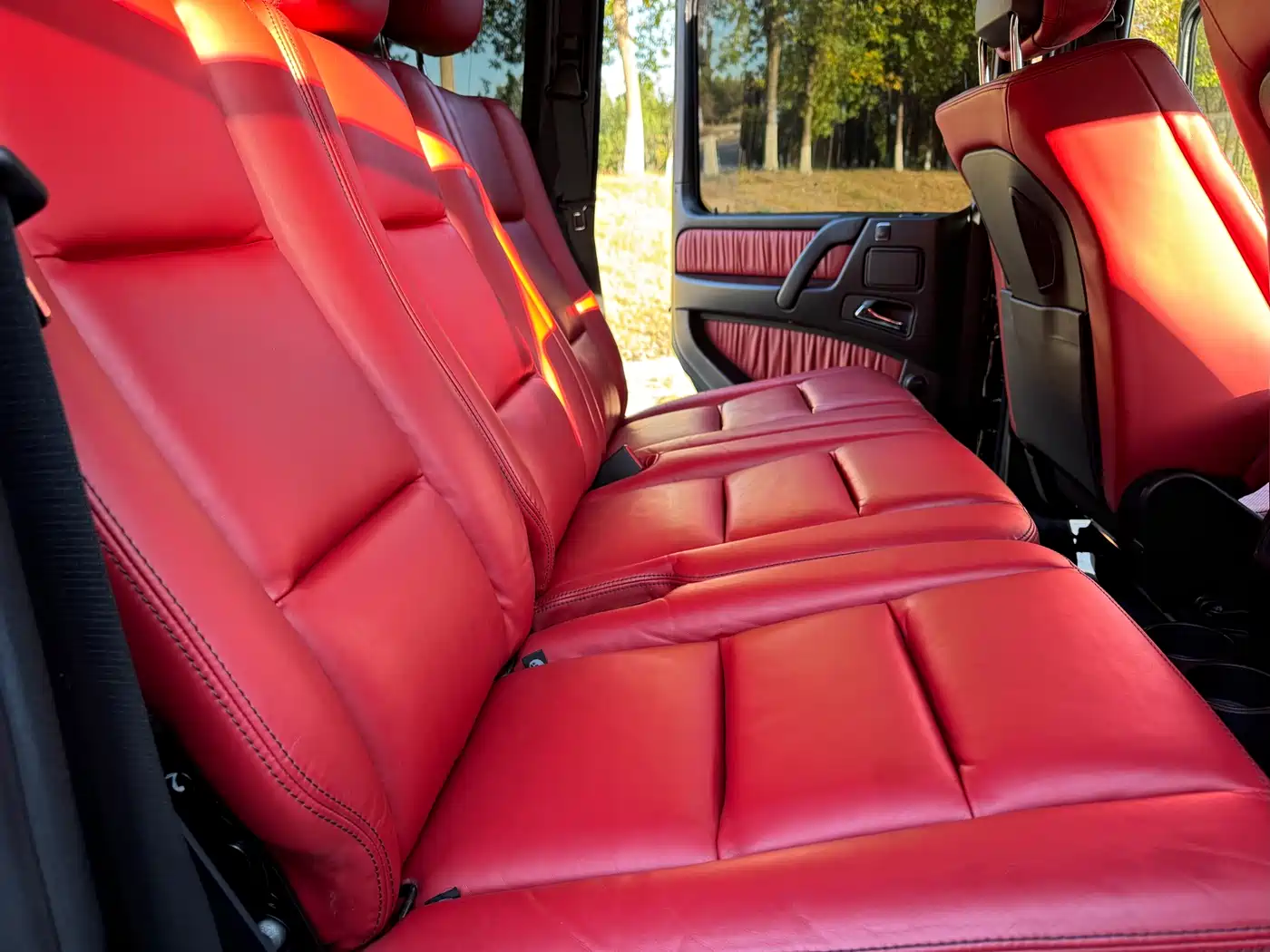 Mercedes-Benz G-Class 2016 G 500 фото 19