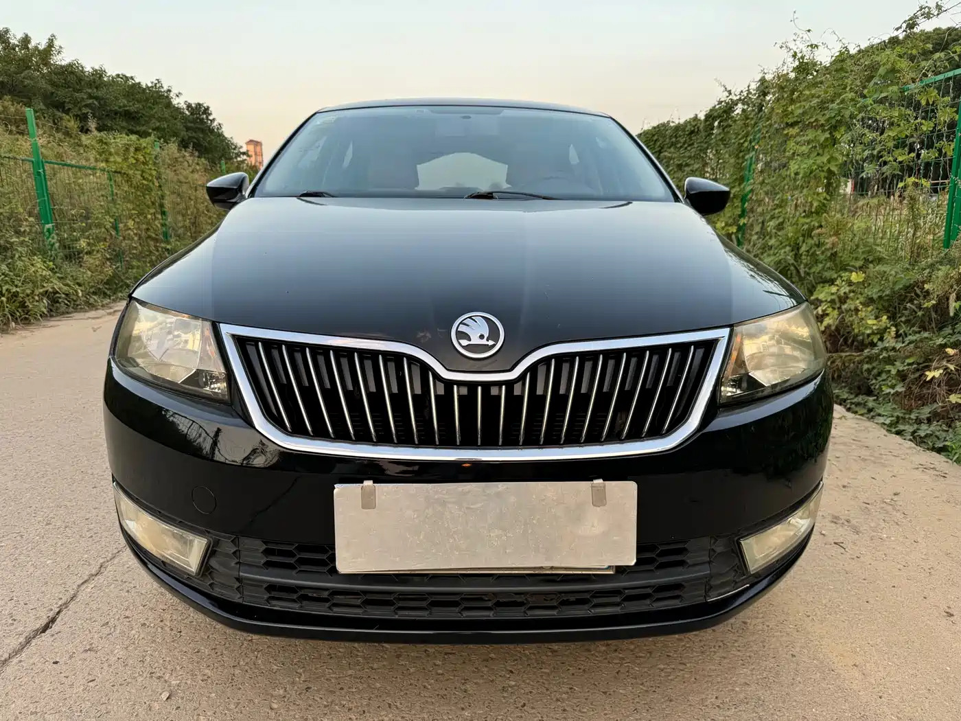 Škoda Rapid 2013 1.6L Automatic Preferred фото 3