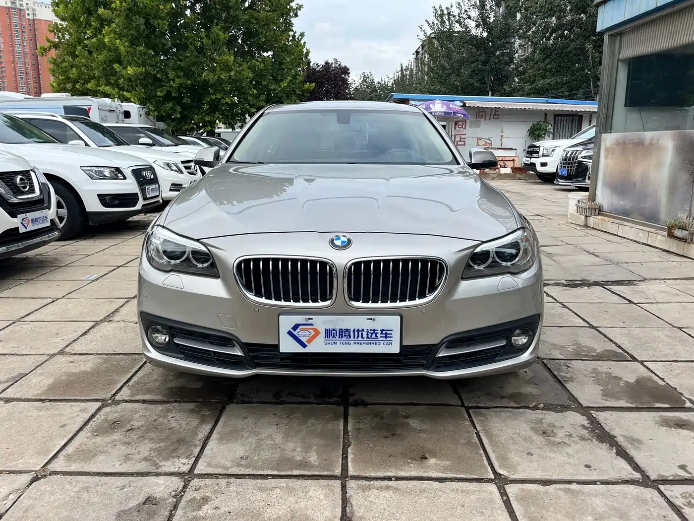 BMW 5 Series 2014 520Li Elegance фото 2