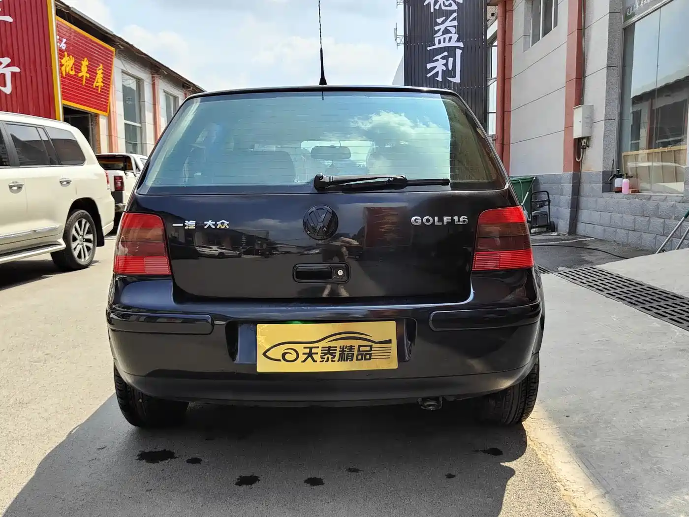 Volkswagen Golf 2008 2008 1.6 Manual Color Edition