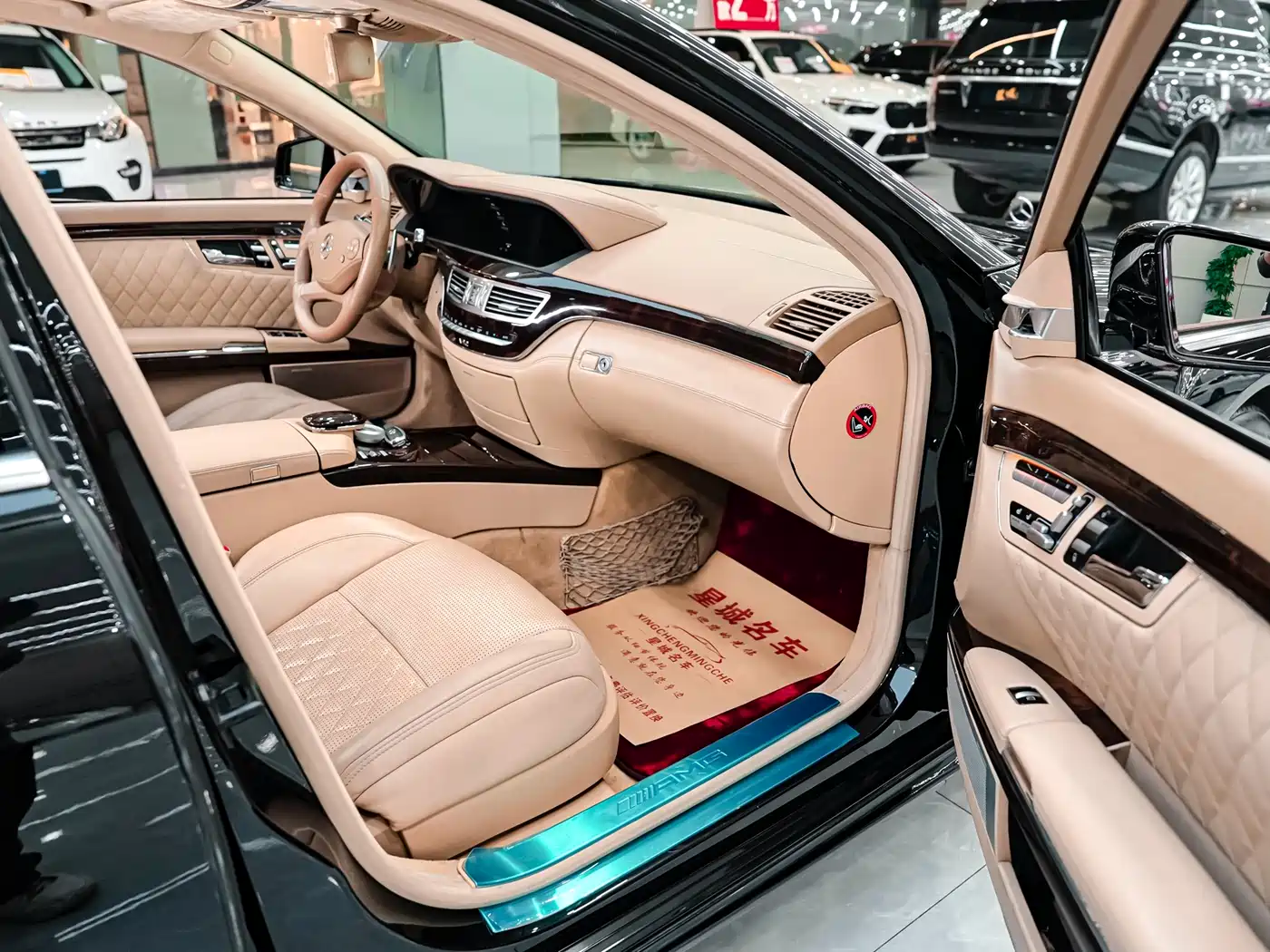Mercedes-Benz S-Class AMG 2013 AMG S 65 L Grand Edition фото 12