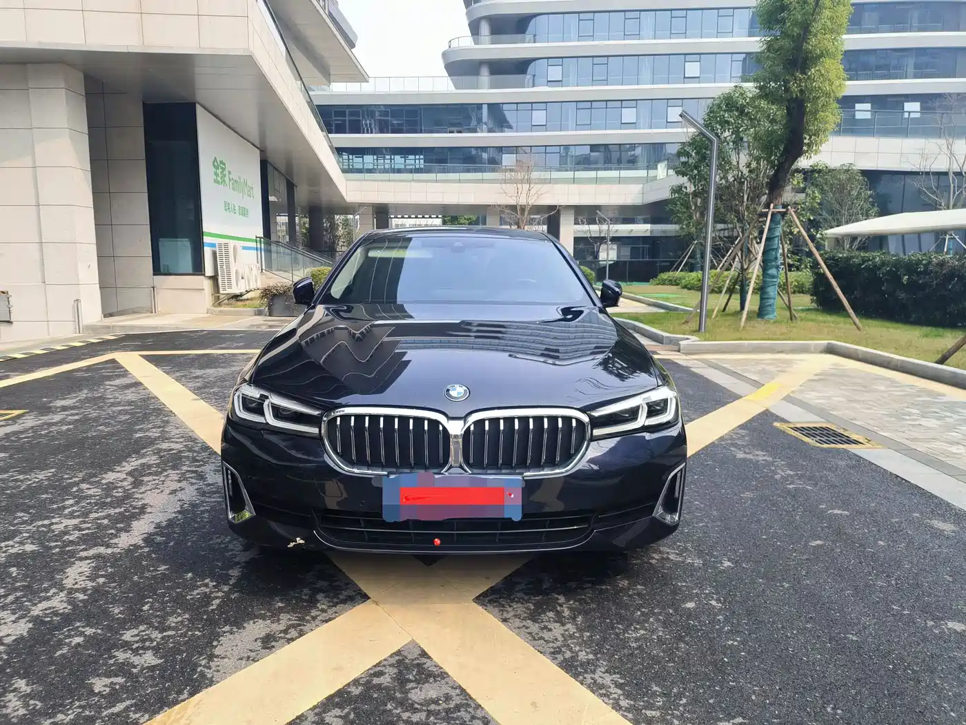 BMW 5 Series 2021 530Li Leading Luxury Package фото 8
