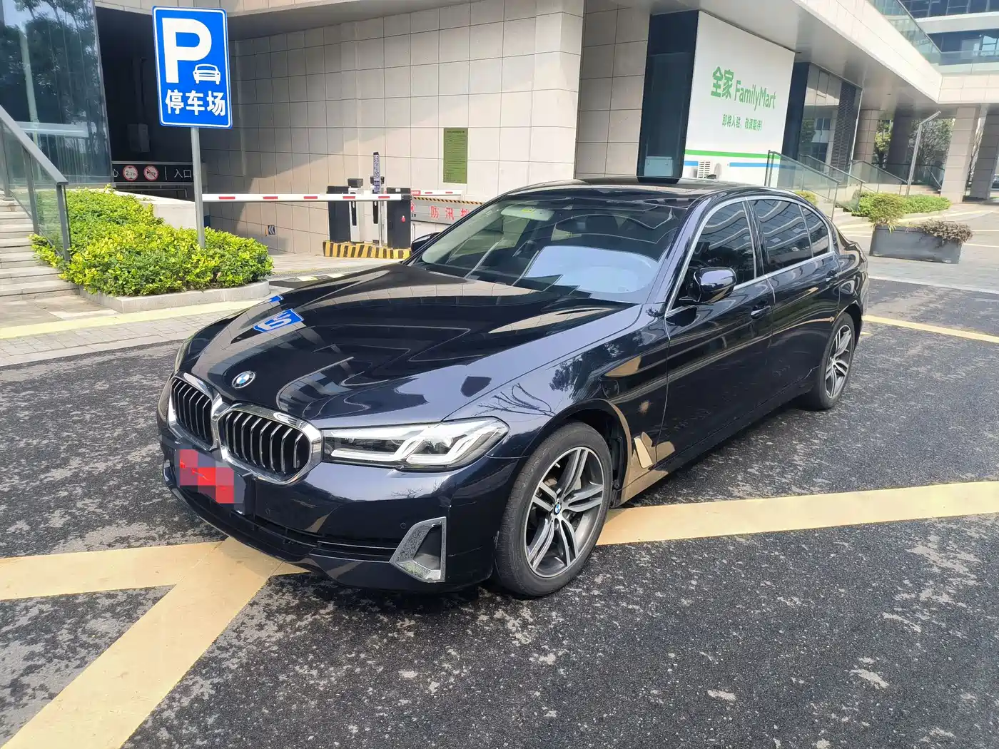 BMW 5 Series 2021 530Li Leading Luxury Package