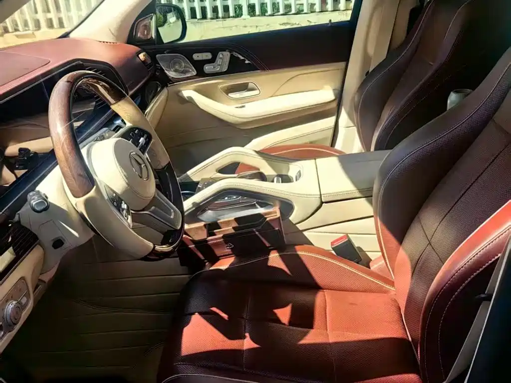 Mercedes-Benz Maybach GLS 2021 GLS 480 4MATIC фото 8