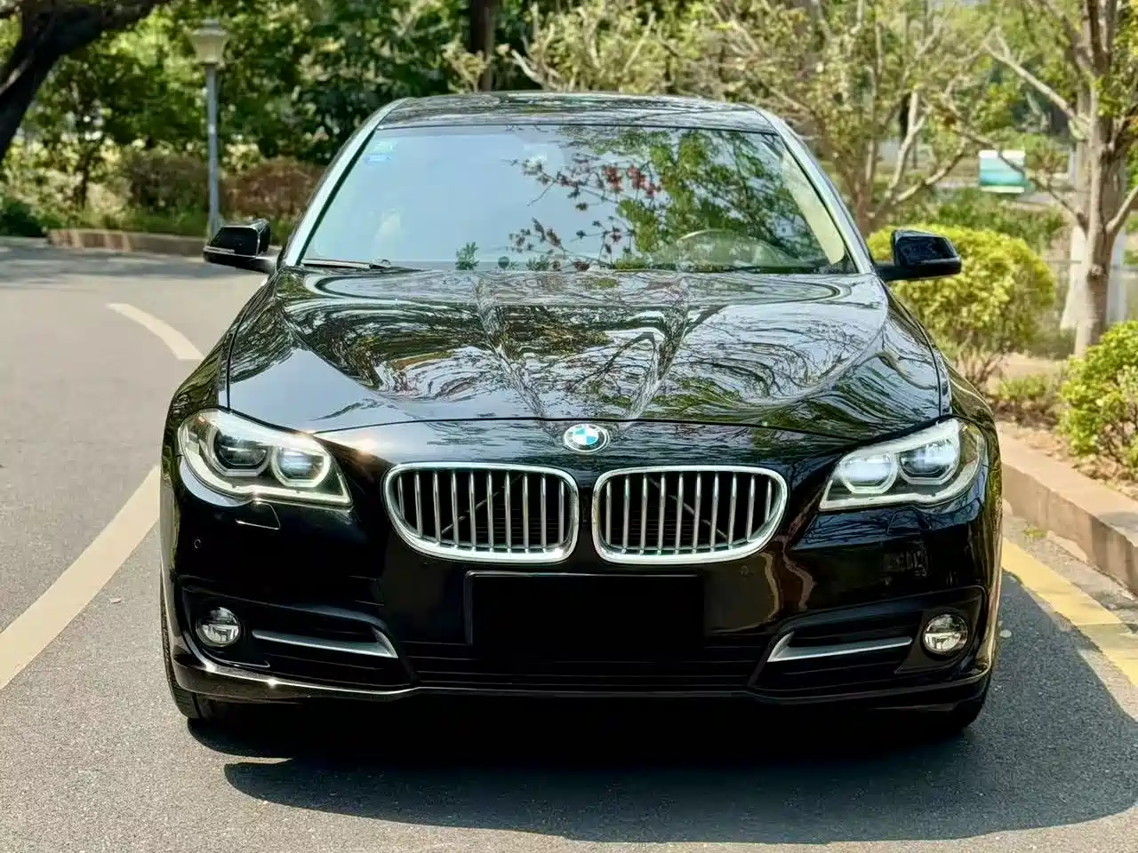 BMW 5 Series 2015 535Li Leading фото 2