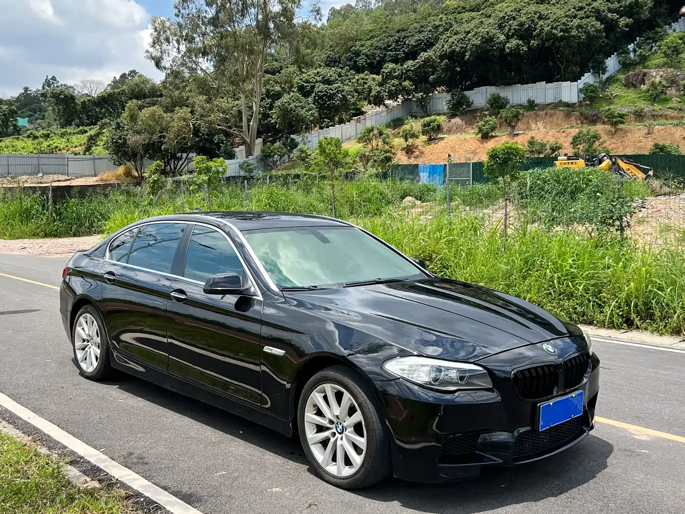 BMW 5 Series 2012 535Li Luxury фото 8