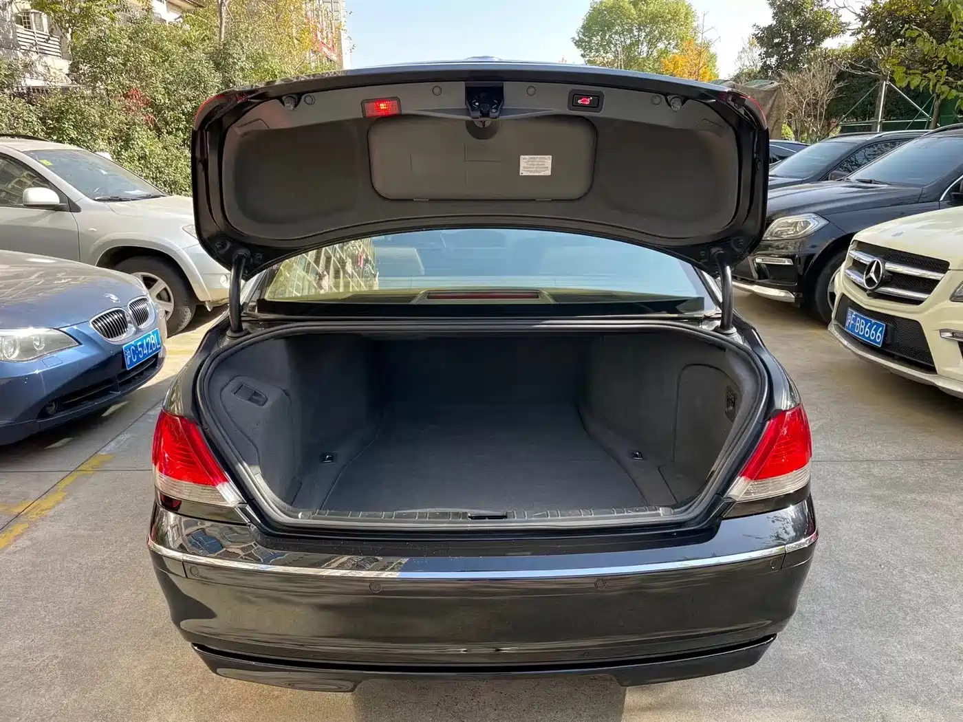BMW 7 Series 2008 Model 730Li Classic Edition фото 27
