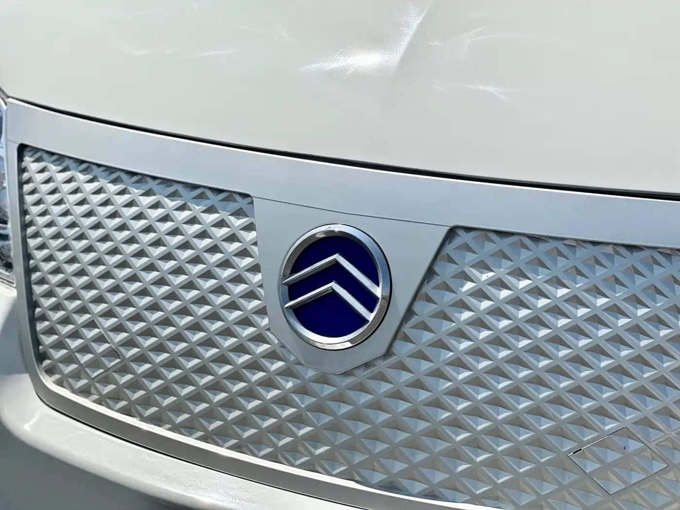 GOLDEN DRAGON SEA LION NEW ENERGY