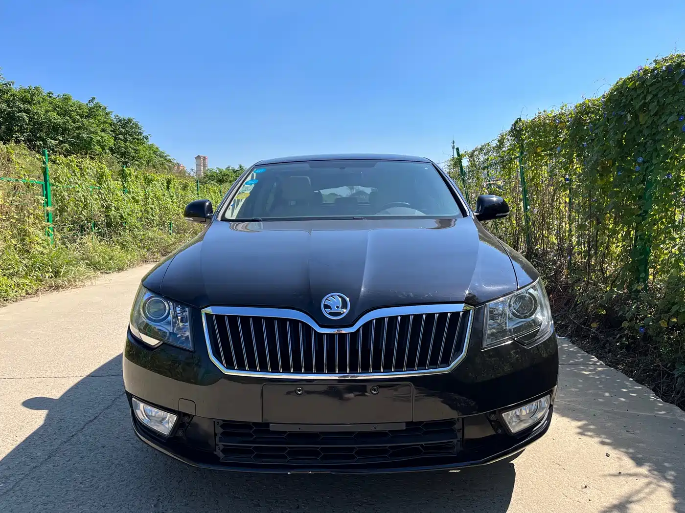 Škoda Superb 2013 1.8TSI Automatic Elite Edition фото 2